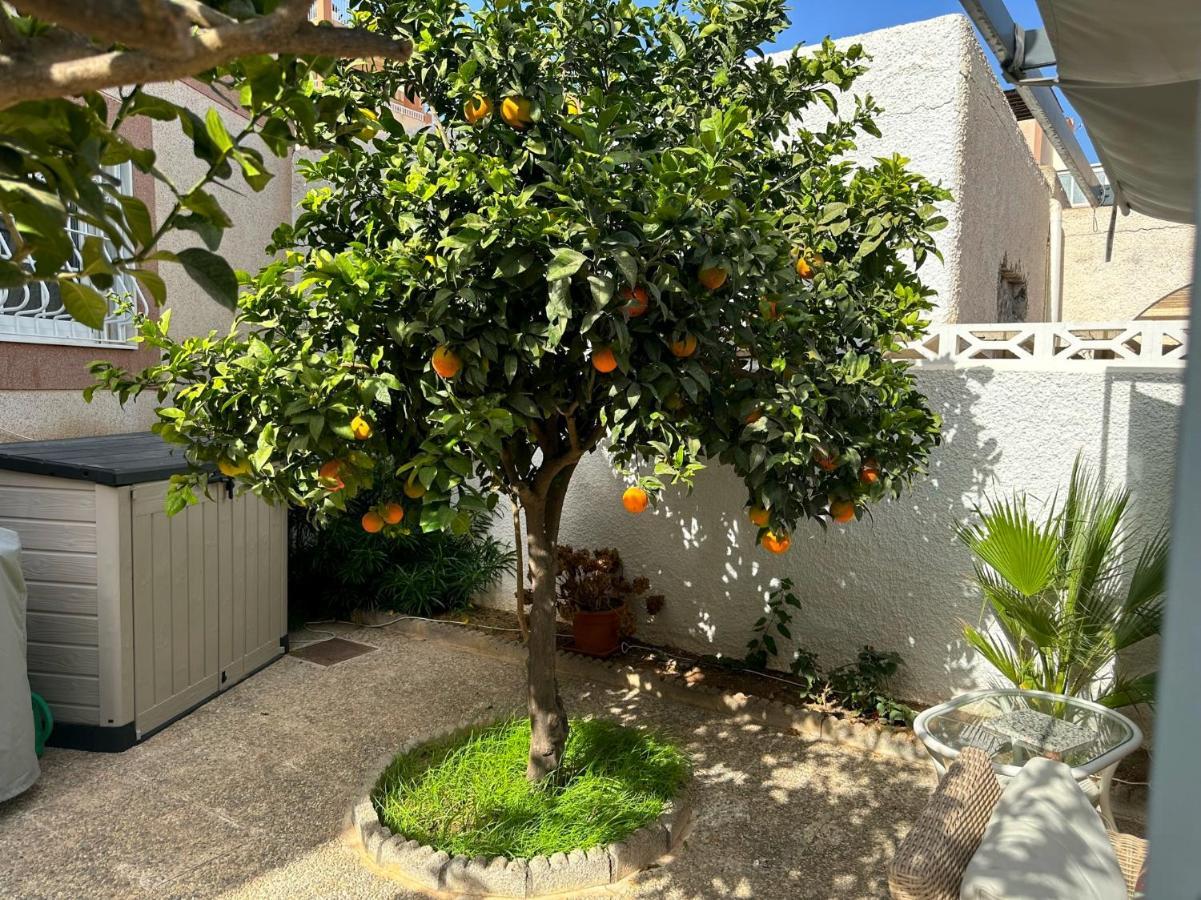 Large Villa Private Pool And Garden Near Beach Roquetas de Mar Exterior foto
